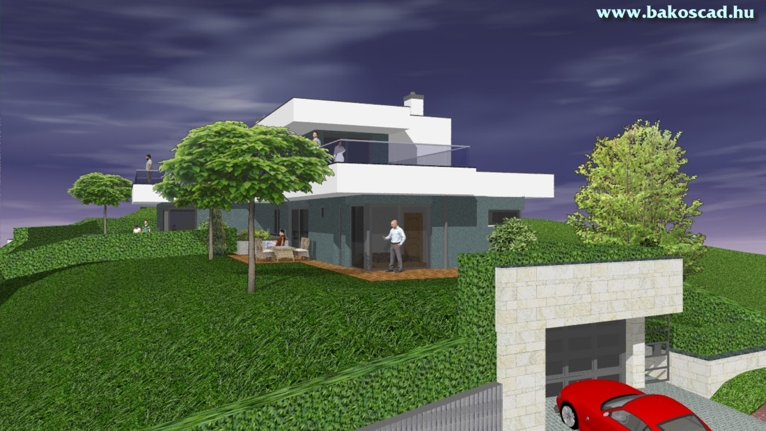 hom/opt-4/opt-100.jpg