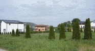 1550504-h100.gif