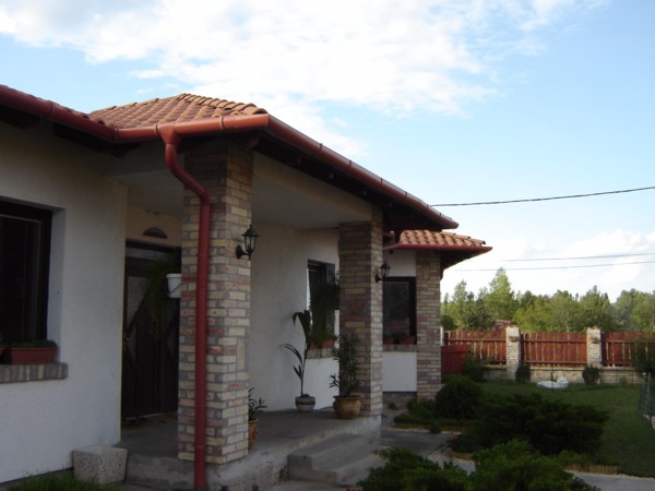 szir-64-w.jpg